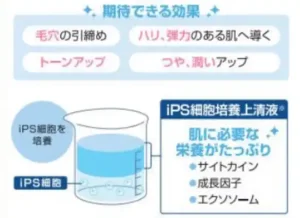 iPS細胞培養上清液配合美容液で期待できる効果